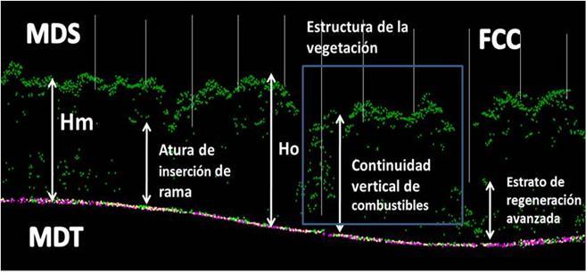 detecção remota