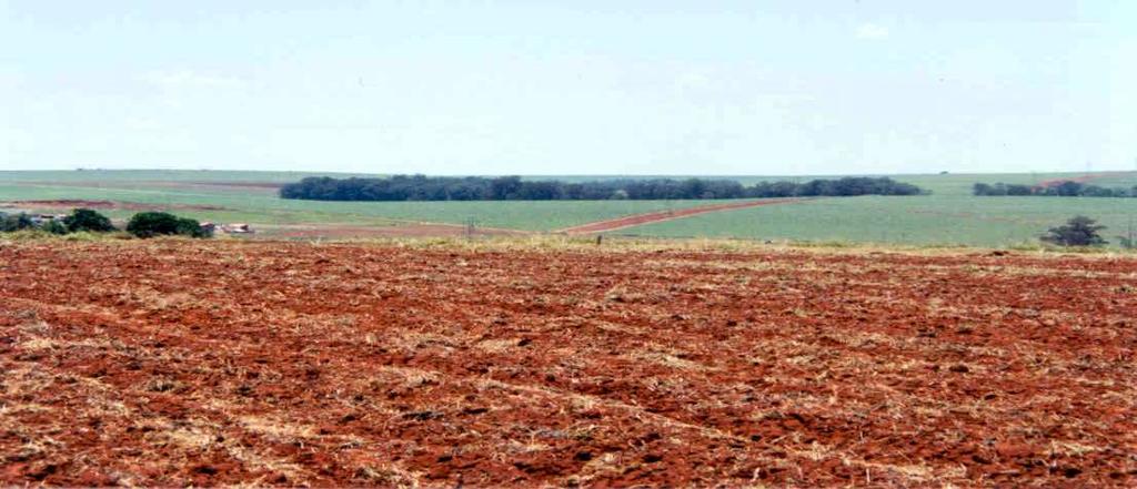 TEMPERATURA SOJA x TEMPERATURA DO SOLO 10ºC... Mínima para germinação - emergência 30ºC... Ótima para germinação-emergência 30ºC.