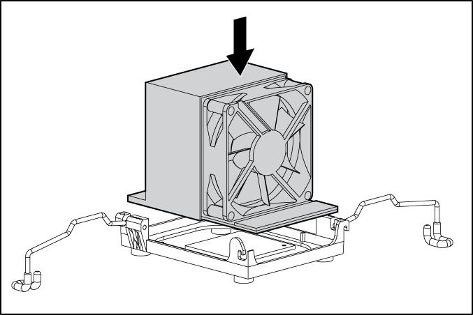 12. Instale o ventilador do dissipador de calor. O ventilador do dissipador de calor deverá apontar para a parte posterior do servidor. 13.