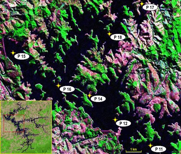 Figura 1. Localização dos pontos de amostragem na porção da represa estudada. Mapa menor mostra a localização da área estudada em relação à área de toda a represa.