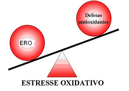 26 que a invasão de neutrófilos e macrófagos exarceba a lesão muscular (Toumi & Best, 2006).