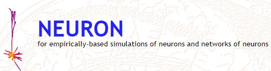 Neurosimuladores Neuron Modelos baseados em Hodgkin-Huxley Modelos com morfologia NEST Paralelização em clusters