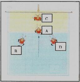 O jogador mais avançado (C) tem por objetivo defender as bolas próximas da rede e assegurar a realização do passe de ataque, garantindo o segundo toque.