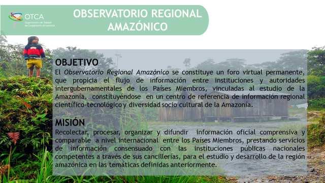 dos dados obtidos pela Rede Regional Apresentação dos sistemas de informação