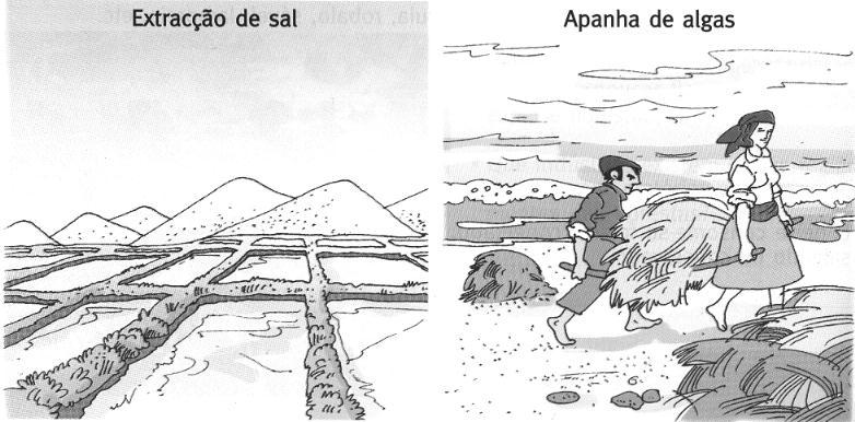 Os barcos de pesca do alto mar são enormes e estão equipados com radares que detectam os cardumes.