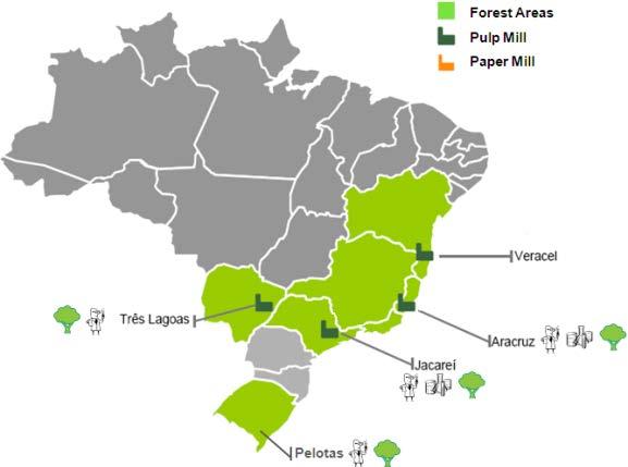 Presença geográfica do CT Áreas florestais Plantas de