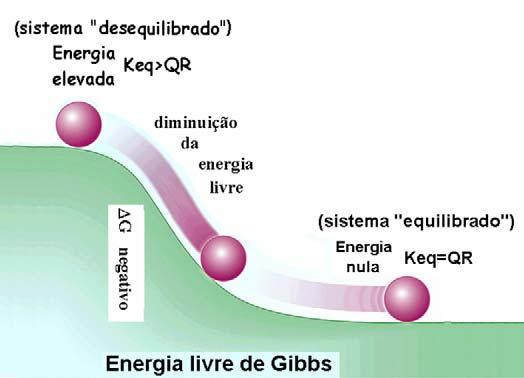 O valor da razão Keq/QR de um sistema reactivo A P é uma medida do grau de desequilíbrio da reacção; quanto maior é o valor da razão Keq/QR maior a quantidade de energia livre (ou de Gibbs) libertada