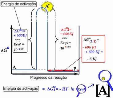 Quando A se transforma em P formam-se intermediários muito instáveis (estados de transição) A*: a Keq [A*](eq) / [A](eq) tem frequentemente um valor muito baixo Gº do processo de formação do