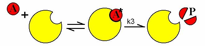 1 2 Consideremos uma sequência de reacções: A A* P Nas reacções enzímicas o estado de transição é de natureza diferente (o complexo E A*) e termodinamicamente muito mais estável do que o que pode