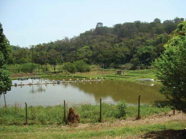 7 Fazenda Lageado O local estudado situa-se no Setor de Aqüicultura da Faculdade de Medicina Veterinária e Zootecnia da UNESP - Campus de Botucatu (22º50 23.0 S e 48º25 40.6 W).