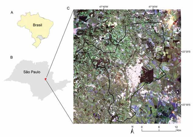 20 Figura 1. Localização da área de estudo na região de Rio Claro no Estado de São Paulo (B).