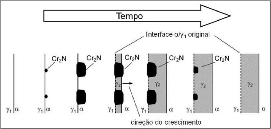 48 Figura 22 - Mecanismo de formação de nitretos e austenita secundária ( 2 ) na interface ferrita/austenita. Fonte: SANTOS, 2013, adaptado de RAMIREZ, LIPPOLD, BRANDI, 2003. 3.