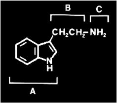 INDOLALQUILAMINAS Estrutura similar à 5-HT