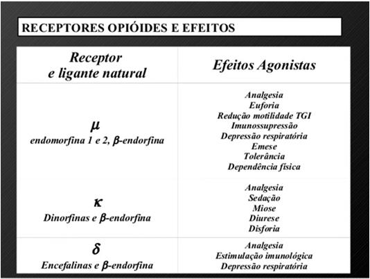 opióides      