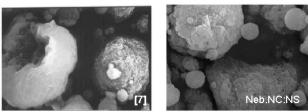 Apenas o pó Neb-NE apresentou estruturas similares às nanocápsulas, após observação das fotomicrografias, não sendo possível diferenciar por esta técnica, a partir de suas características