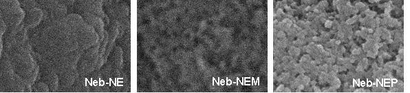 Raffin, R.P., E.S. Obach, G. Mezzalira, A.R. Pohlmann & S.S. Guterres Figura 5. Nebulizados Neb-NE, Neb-NEM e Neb-NEP (aumento de 45000 x).