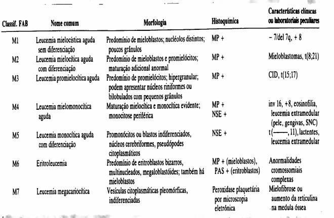 Exemplos de diferentes tipos de LMA.