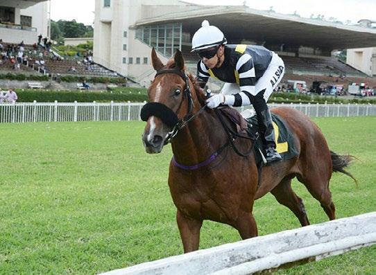 LUIZ ALVES DE ALMEIDA, L 1000m - Grama Potrancas de 2 anos 58 170 1- R$ 9.000,00 2- R$ 2.700,00 3- R$ 1.800,00 1-ADAGA DO REI, f, 2, Trinniberg e Ke Segredo, por Punk (Arg) 2da.