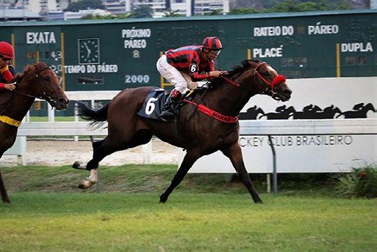 A Seguir: Fly First Class, Betting Site, Fortune Queen, Lovely Gabriela. GÁVEA (RJ) - 03/Fev.