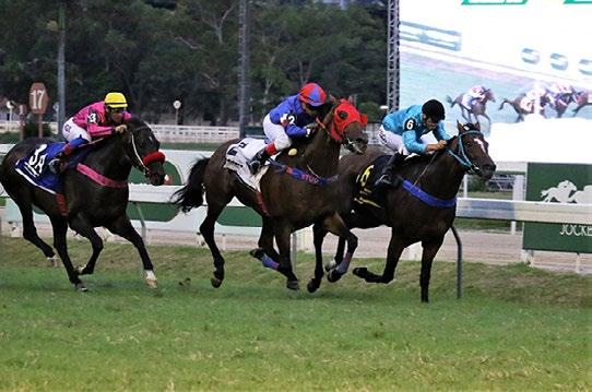 Oliveira J-H. Fernandes 6-3-0-1 2-Per-Piacere, m, 3, Plenty of Kicks e Pemaquid, por Deputy Minister P-Criação Seabra C-San Francesco T-R.M. Lima 3-Lepate Goose, m, 3, T.H. Approval e Yellow Girrafe, por Quinze Quilates P/C-Phillipson T-A.