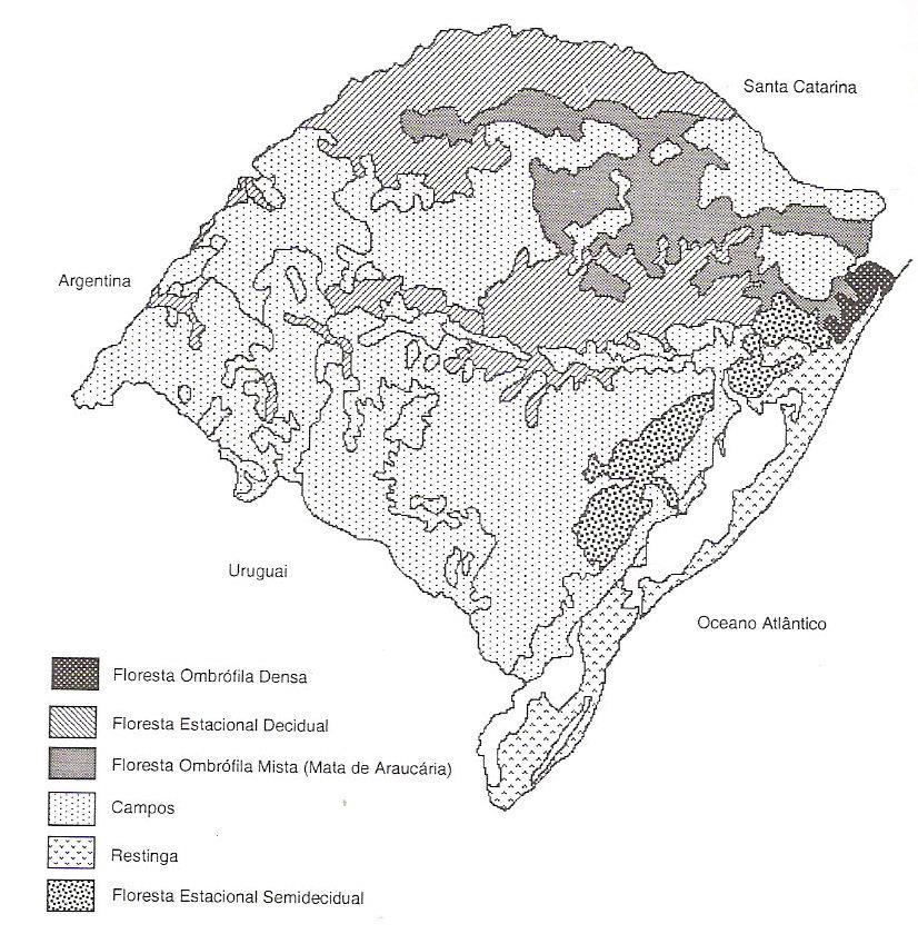 Figura 1 Vegetação do Rio Grande do Sul. Fonte: www.semc.rs.gov.br/atlas/metodo.htm, 2008.