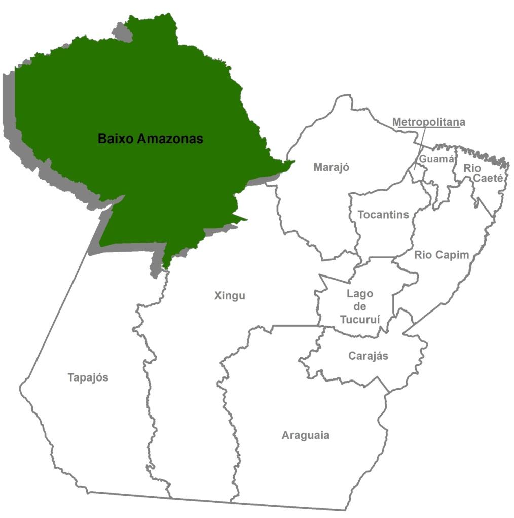 RI BAIXO AMAZONAS PIB de R$ 5,9 bilhões, 6,5% do PIB paraense. Responde por 12% do PIB agropecuário do estado. 73.526 empregos formais, 6,5% do total do Pará.