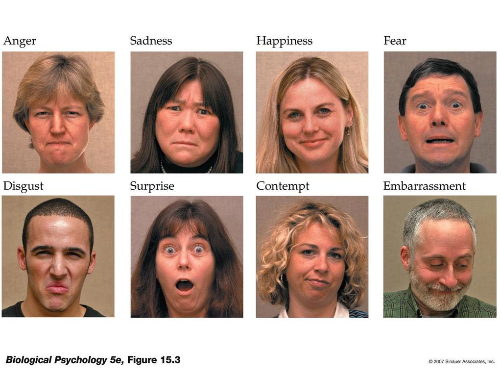 Expressões Faciais Universais de Emoção raiva tristeza