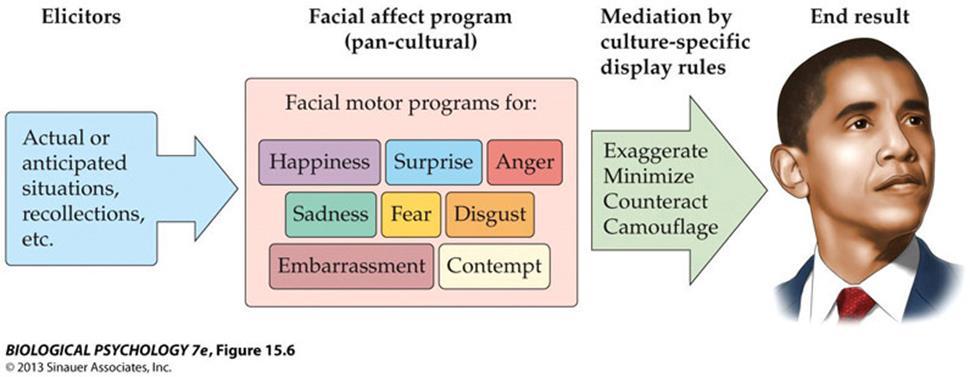 Figura 15.5 um modelo para expressões faciais emocionais através das culturas.