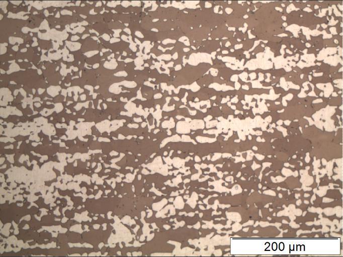 44 Figura 23 Micrografia obtida por microscopia óptica da amostra solubilizada a 1130 C por 30 minutos, após ataque com Beraha Modificado. Fonte: autora.