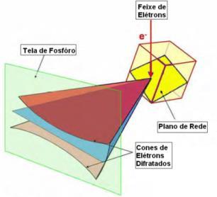 20 Figura 3.21 Desenho esquemático do sistema utilizado no EBSD.