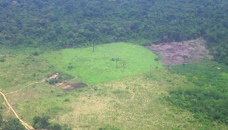 1. Desmatamento Cômputo de hectares desmatadas por corte raso, por ano 6000 5000 Kayapó TdM ampliada TI Leste Xingu TIX Outros