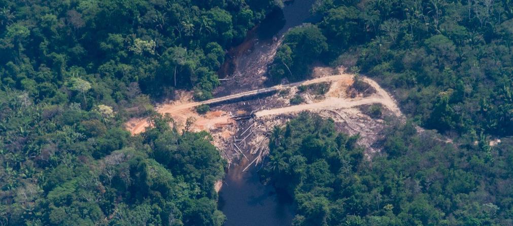 Terra do Meio Leste Xingu 400 300 200 Kayapó 100 0 2015 2016