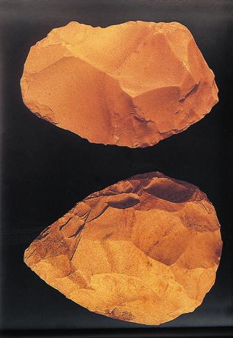Paleolítico n O Paleolítico, também chamado de período da pedra lascada, teve início com o surgimento do Homo habilis, há cerca de 2 milhões de anos.