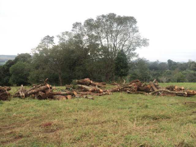 colocadas na margem esquerda do canteiro de obras, em áreas