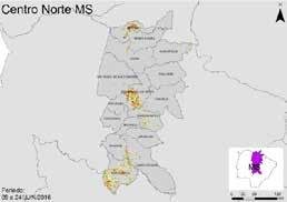 7.5.5. Mato Grosso do Sul Figura 13 - Mapa de anomalia do IV das lavouras de grãos em relação à safra passada Nos mapas as áreas em amarelo, marrom e vermelho, em maior quantidade, indicam onde as