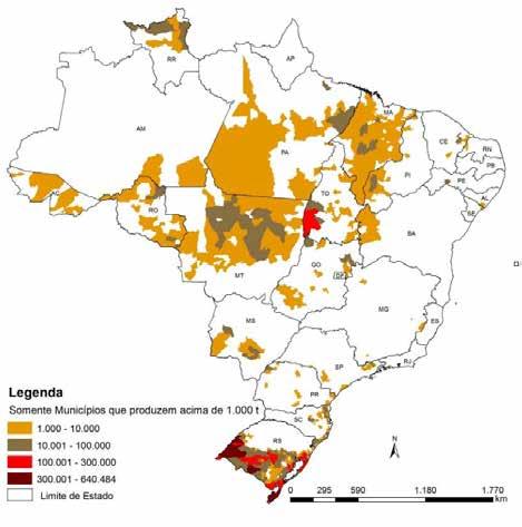 cultivo em áreas de várzea. O plantio foi realizado em novembro e dezembro. O clima favoreceu o desenvolvimento das lavouras, ao contrário de anos anteriores.