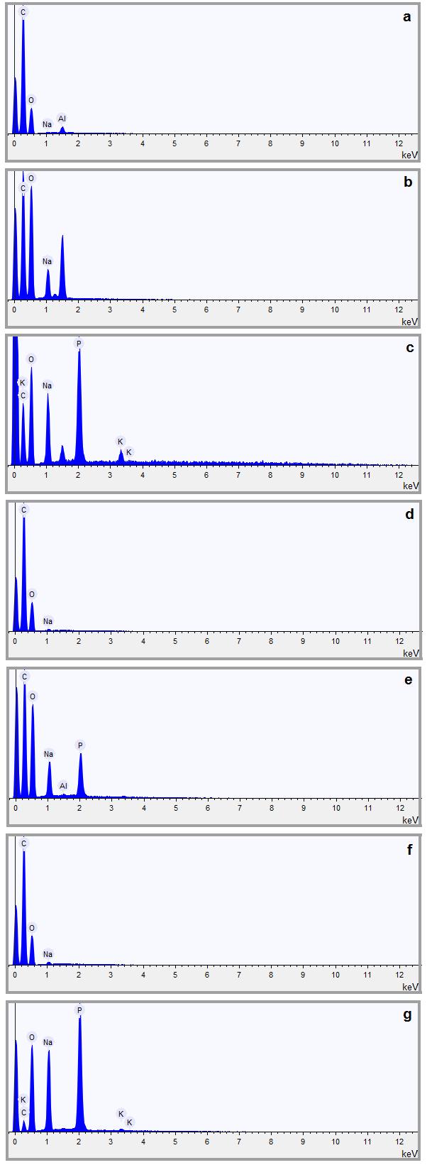 43 Espectro EDS das diferentes formulações.