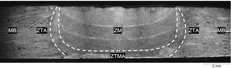 37 possui particularidades microestruturais, apresentando uma diversidade no tamanho e orientação dos grãos (CAMPANELLI et al., 2013; SILVA et al., 2007).