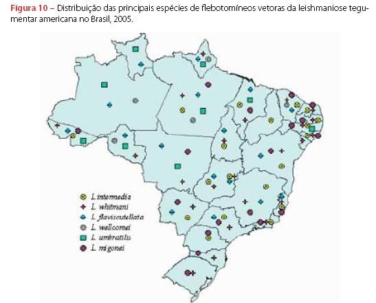 Vetores de leishmaniose tegumentar no BR