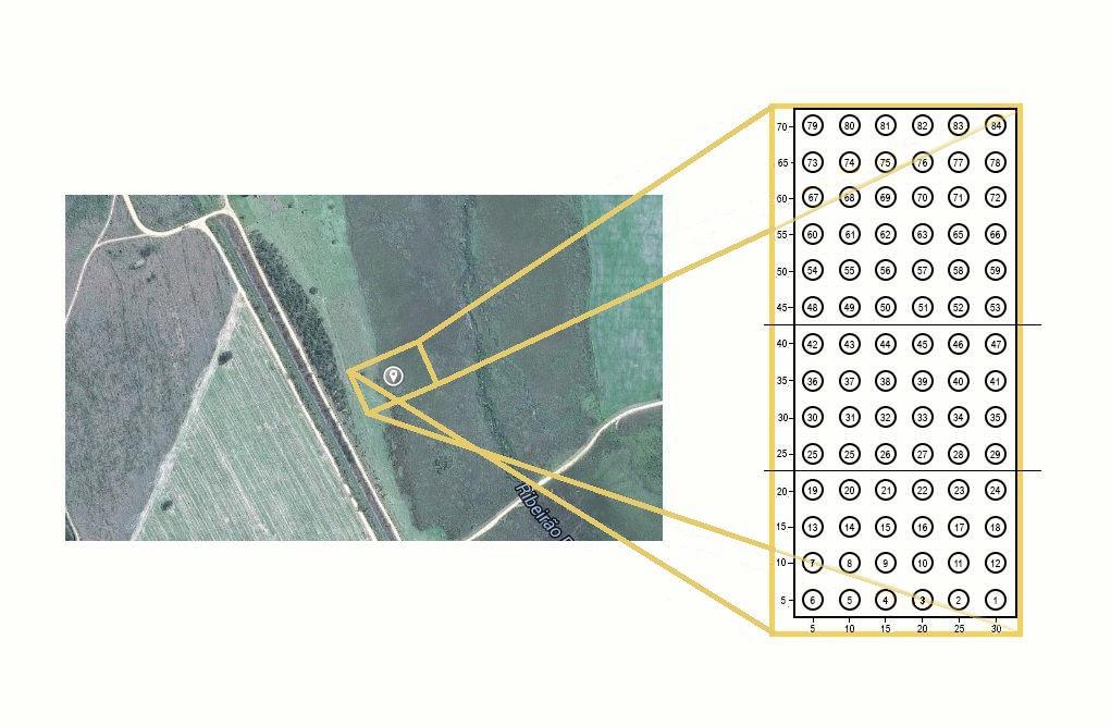 6 O grid de coleta foi realizado no dia 09 de Julho de 2015, foi fixada uma malha retangular com 84 pontos, em intervalos regulares de 5 metros de distância entre eles que cobriu uma área de 30 x 70