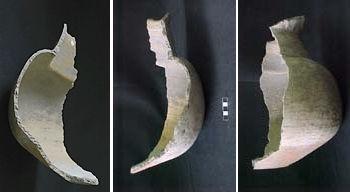 Denominação: Fragmentos de urna GRUPO 2 Imagem: Descrição: Urna fragmentada em três pedaços. Forma e decoração podem ser reconstituídas.