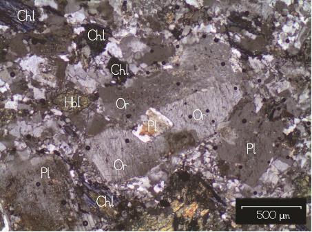 Figura 7: Cristal de microclina (Mc) pertítico apresentando textura de zonação química. Fase albita (branco) e fase potássica (tons de cinza).