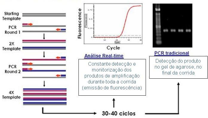 metodologias principais para a PCR-RT: por sondas hidrolisáveis (TaqMan, Beacons e Scorpions), por sondas hibridizáveis (Light Cycler) e por agentes ligantes ao DNA (SYBR Green; http://www.slideshare.