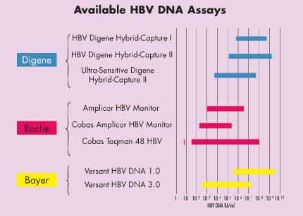 VHB devem ser expressos em UI/ml (1UI/ml=5,6 cópias/ml) para se poder comparar cargas virais entre as várias metodologias, contudo, deve ser usado o mesmo teste no mesmo paciente para avaliar a