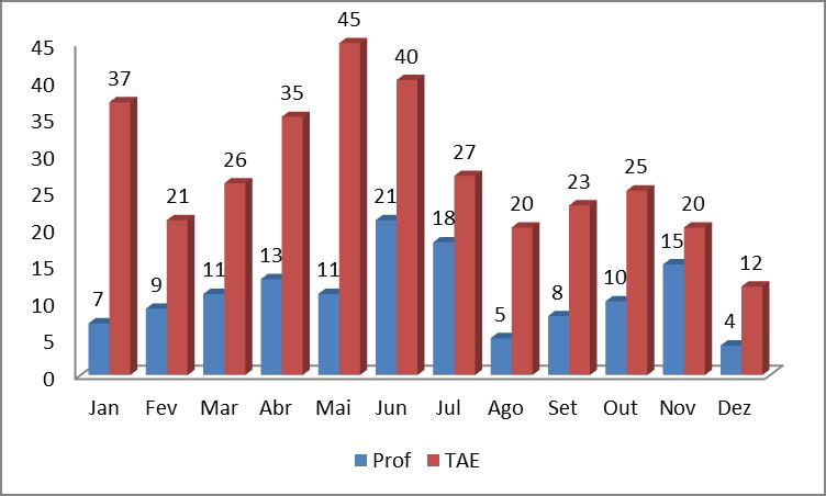 Gráfico 3: Distribuição mensal dos atendimentos odontológicos feitos no ano de 2013