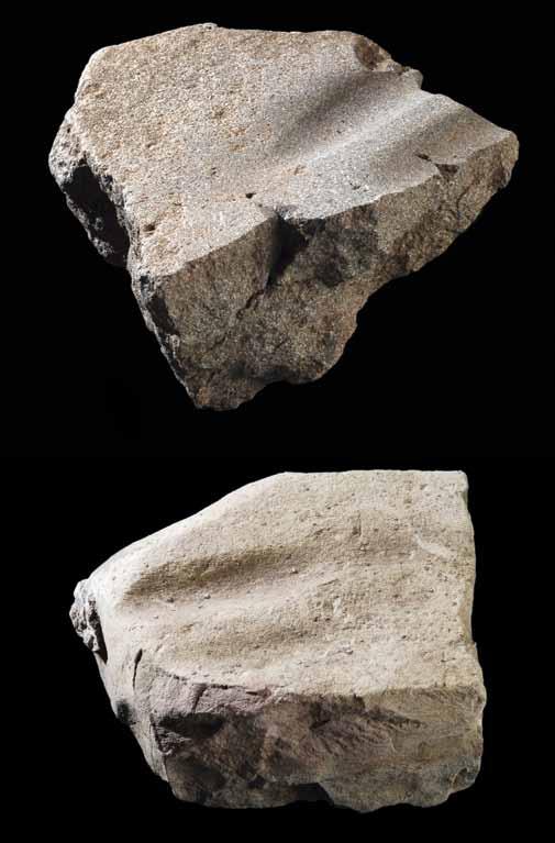 Fig. 10 Par de polidores para machados ou enxós, do povoado do Neolítico Antigo do Carrascal. Em cima, de basalto; em baixo, de arenito.