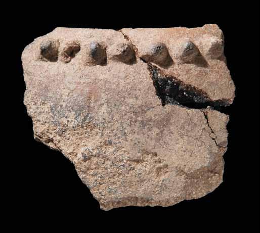 Fig. 20 Bordos denteados de recipientes do povoado do Neolítico Final do Carrascal. Comp. máx. do exemplar do canto sup. esq.: 5,9 cm (CEACO / escavações dirigidas por J. L. Cardoso). Fig.