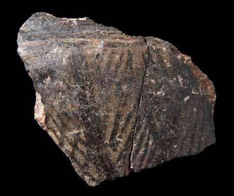 Fig. 60 Fragmento de vaso de ornatos brunidos do Bronze Final.