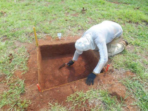 distando 13 cm da parede sul e 21 cm da parede leste Visão geral das atividades encaminhadas no sítio.