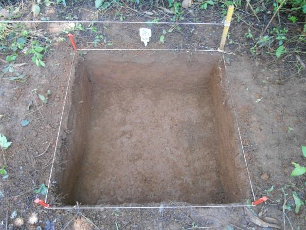 Tendo-se em vista que os materiais arqueológicos ocorriam, geralmente, até os 35 cm de profundidade, foram aprofundadas em dois níveis, ou seja, de 20-30 e 30-40 cm algumas quadras no setor SE,